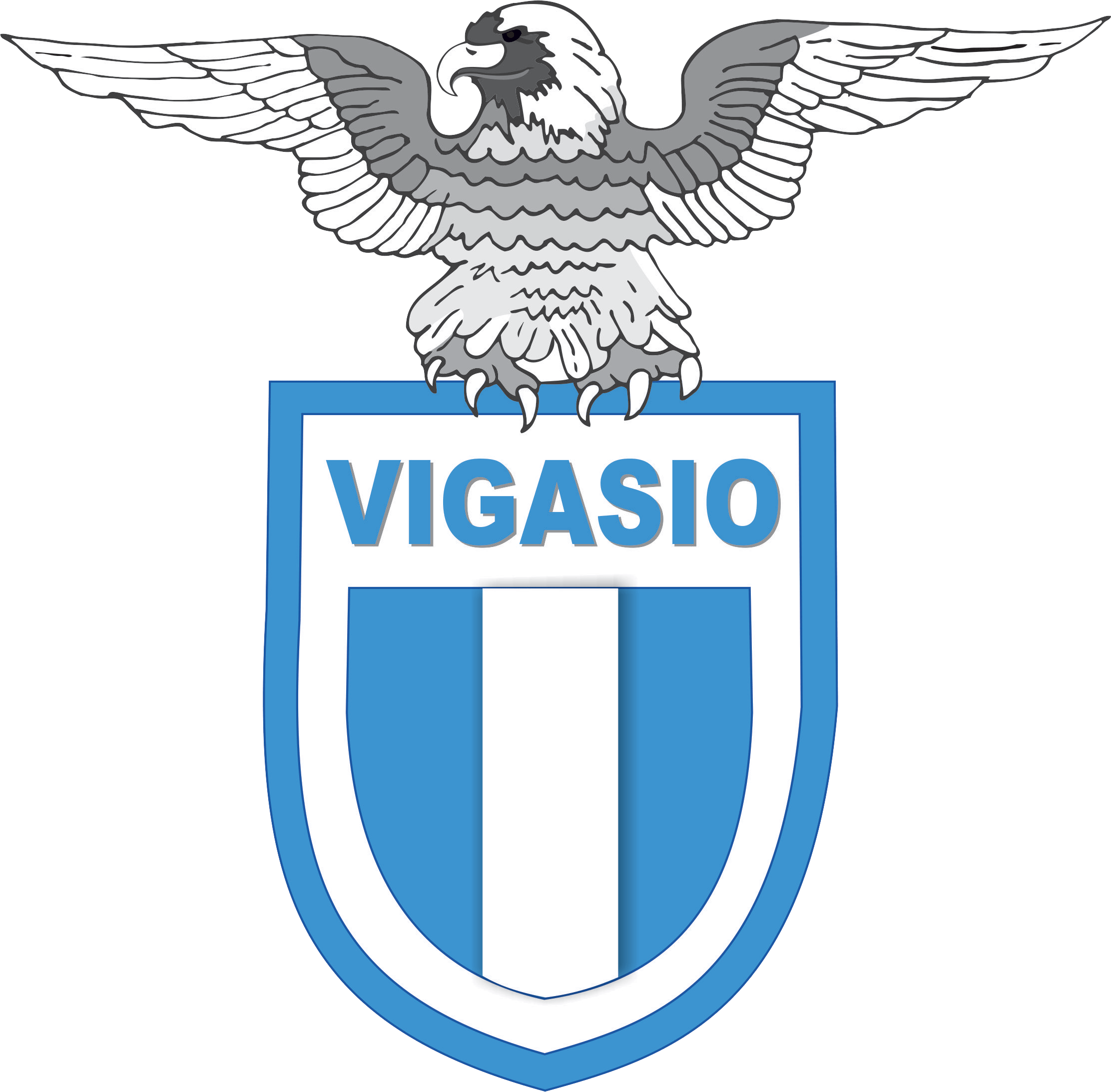 Associazione Calcio Vigasio